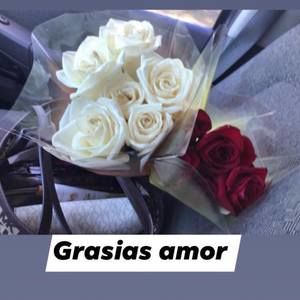 Meet your Posher, Ruby